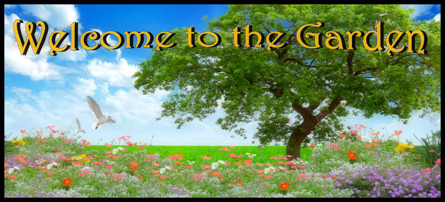 Garden page header 0915