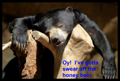 Another hung over bear